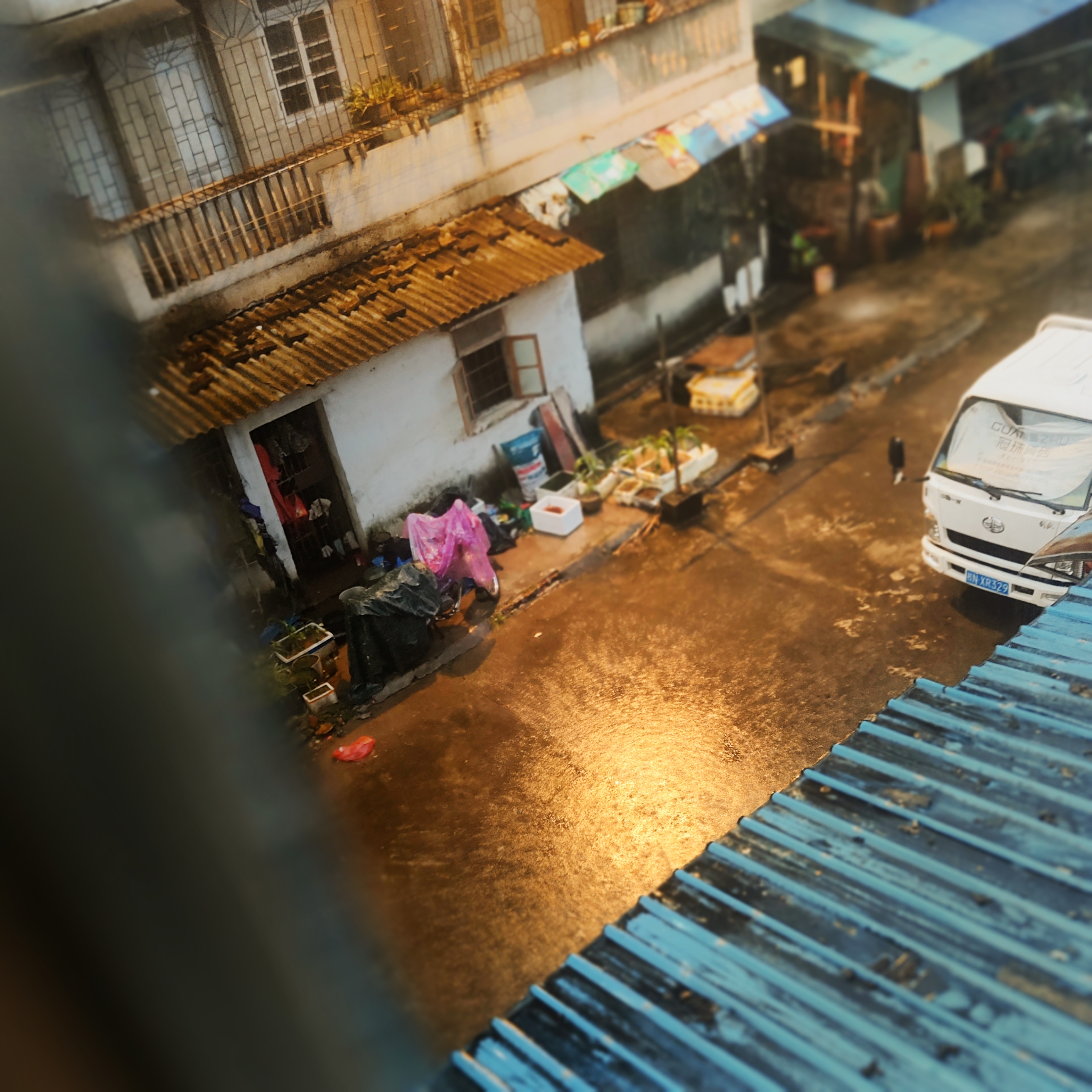 碎金遍地