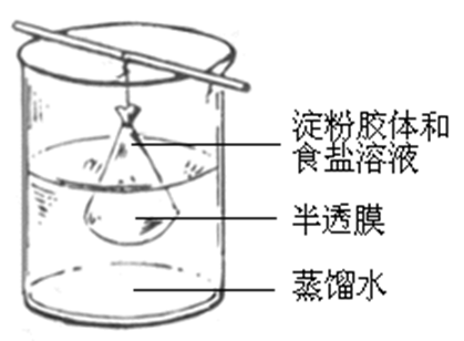 经典渗析图
