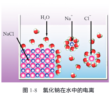 必修一P20